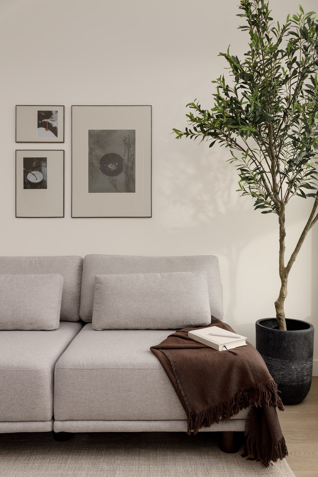 A living room with a grey couch, a tree, and pictures on the wall.