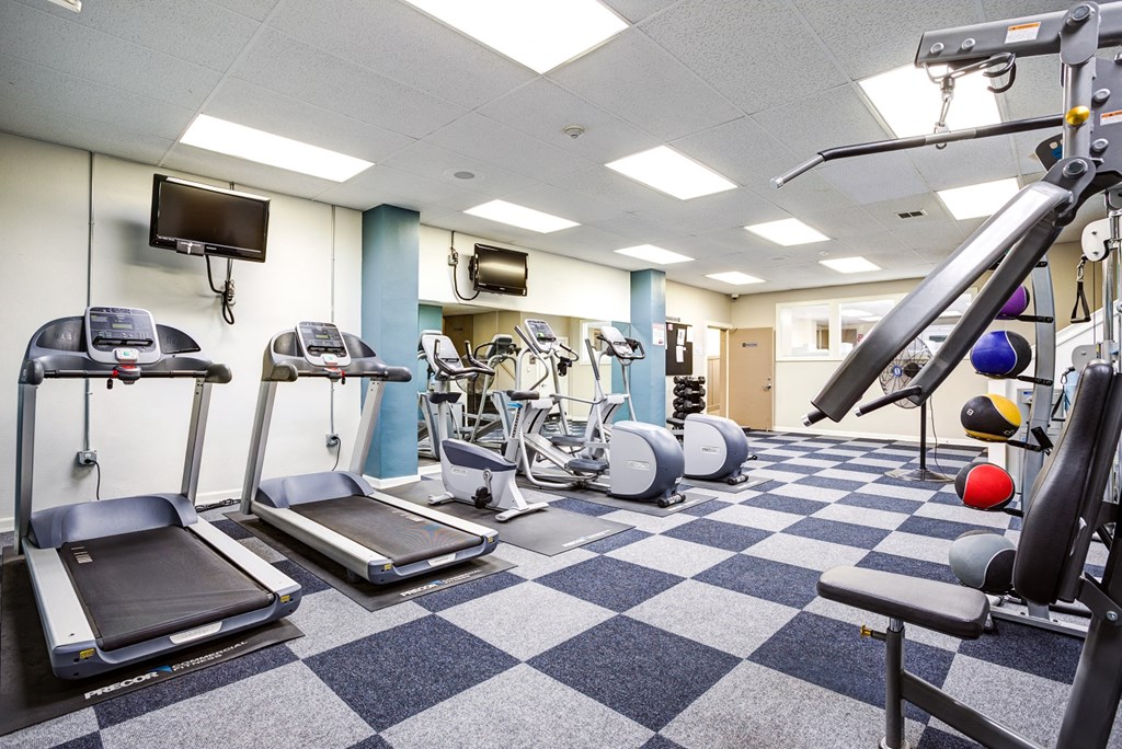 A gym with treadmills, weights, and exercise equipment.