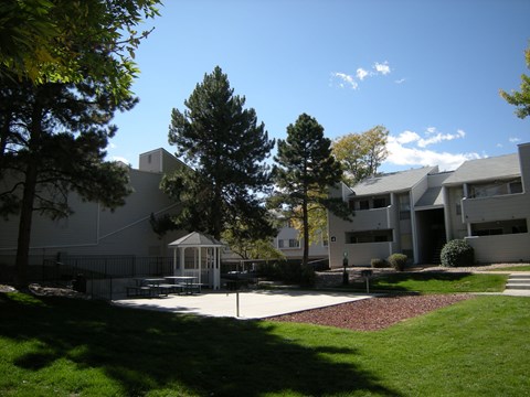 A white gazebo sits on a patio surrounded by trees.