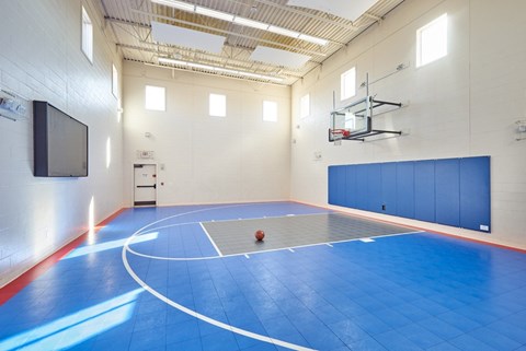 A blue basketball court in a gym with a basketball in the middle.