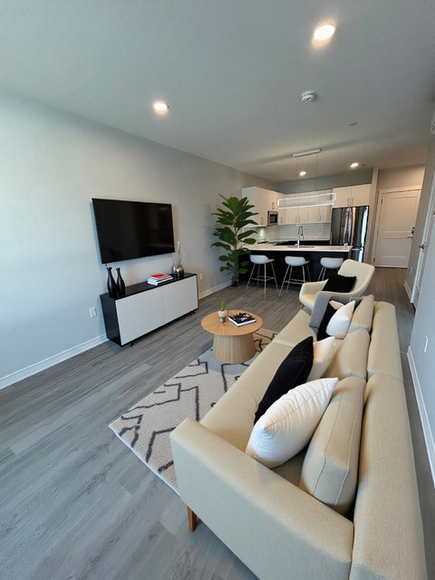 A modern living room with a large couch and a television.