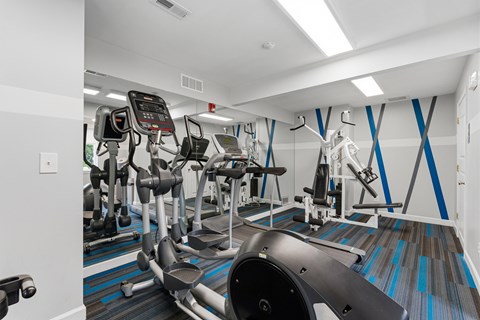 A gym with a row of treadmills and elliptical machines.