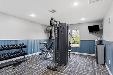 A gym with a variety of equipment including a squat rack, bench, and weights.