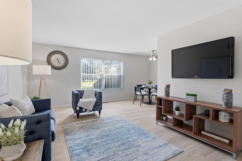 A living room with a blue couch, a grey armchair, a wooden shelf with plants, and a flat-screen TV mounted on the wall.