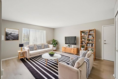 A living room with a striped rug, a sofa, a coffee table, a side table, a television, and a bookshelf.