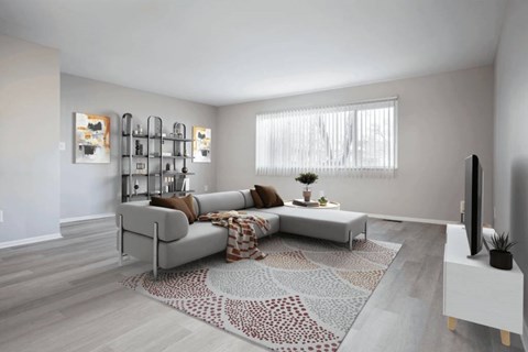 A living room with a grey sofa and a patterned rug.
