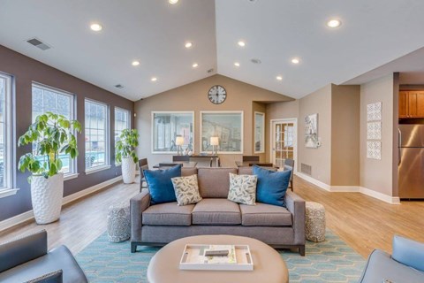 A living room with a grey couch and a coffee table.