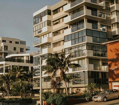 A modern multi-story building with balconies and large windows is surrounded by palm trees.