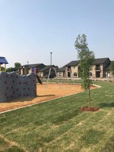 a playground with a tree in the middle of it
