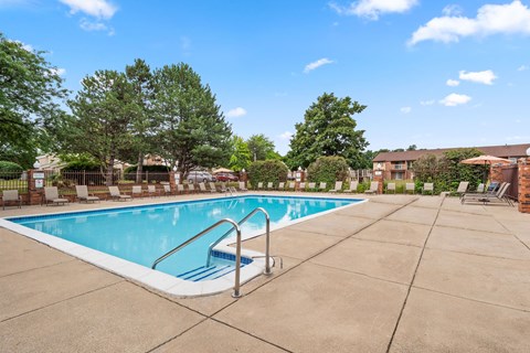 A swimming pool surrounded by a concrete patio and trees.