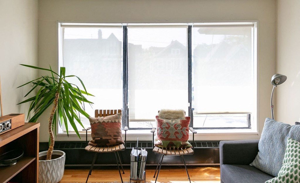 A living room with a couch, two chairs, a potted plant, and a floor lamp.