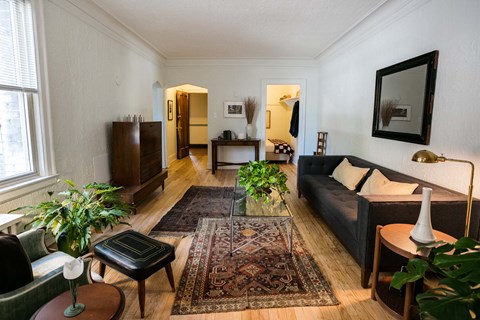 A living room with a rug and a couch.
