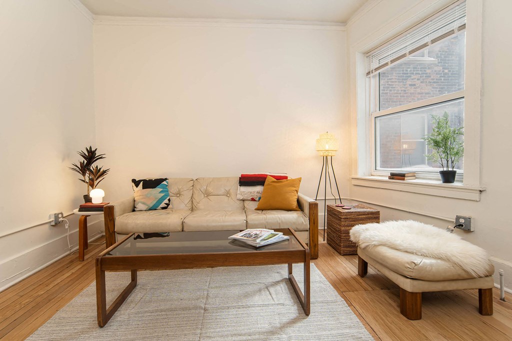 A living room with a white couch, a coffee table, and a small tree.