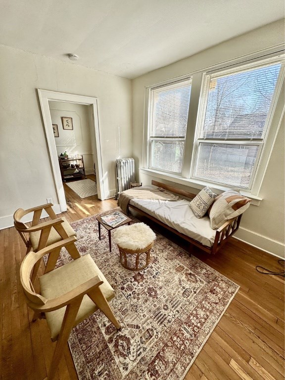 A living room with a sofa, chair, and rug.