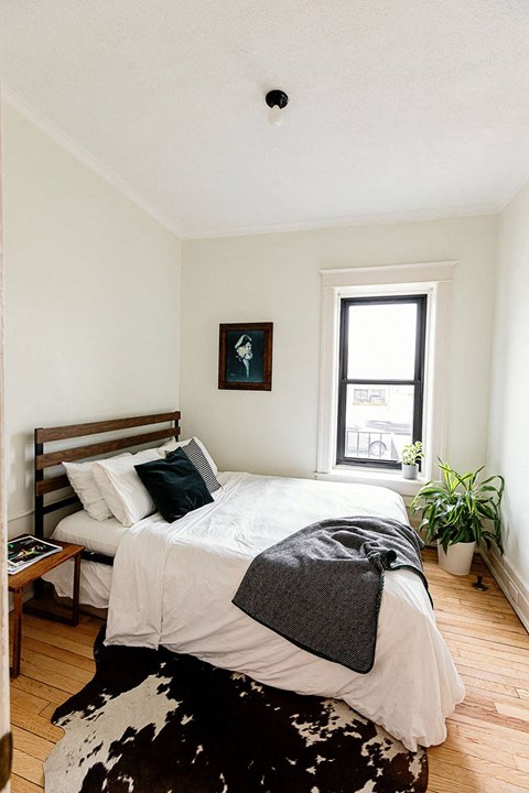 A bedroom with a bed, a window, a plant, and a picture on the wall.