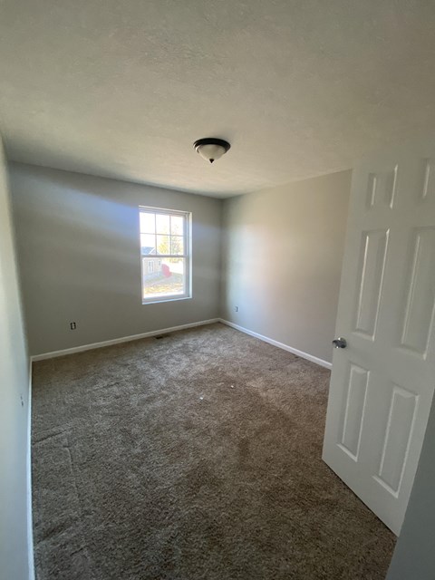 a bedroom with a carpeted floor and a window