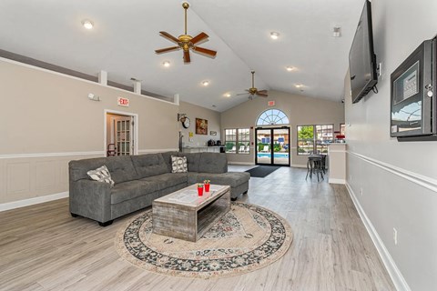 A living room with a grey couch and a rug in the middle.