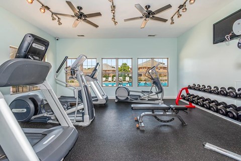 A well-equipped home gym with treadmills, elliptical machines, and dumbbells.