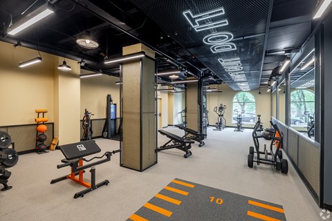 A gym with a variety of equipment including a squat rack, bench press, and a rowing machine.