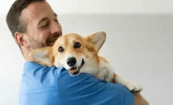 A man is holding a corgi dog in his arms.