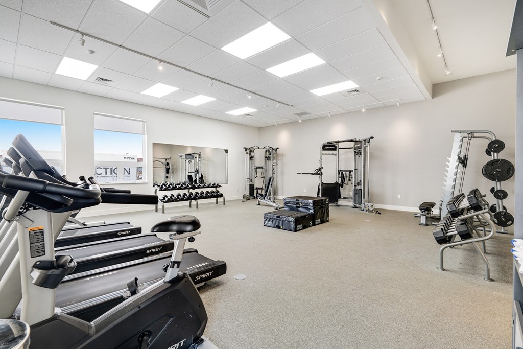 A gym with treadmills, weights, and exercise equipment.