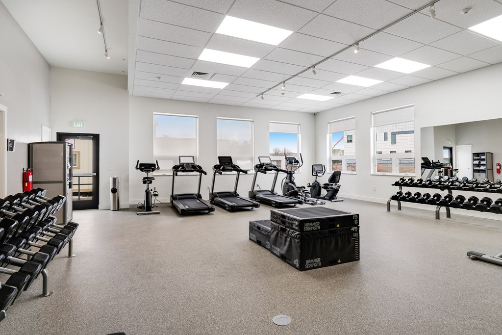 A gym with a variety of equipment including treadmills, weights, and exercise machines.
