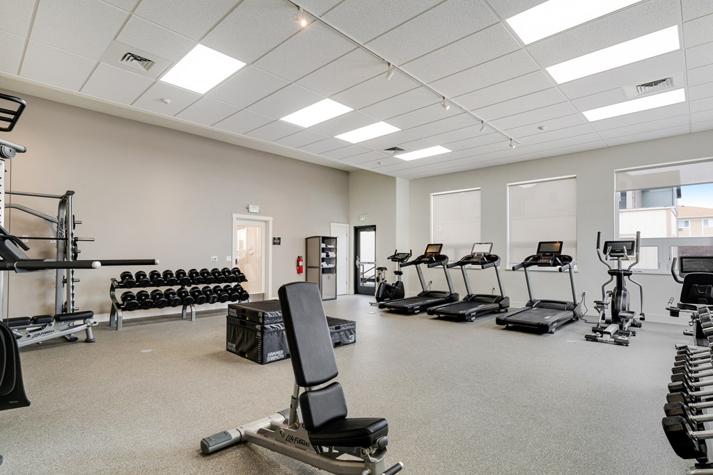 A spacious gym with a variety of equipment including treadmills, dumbbells, and weight machines.