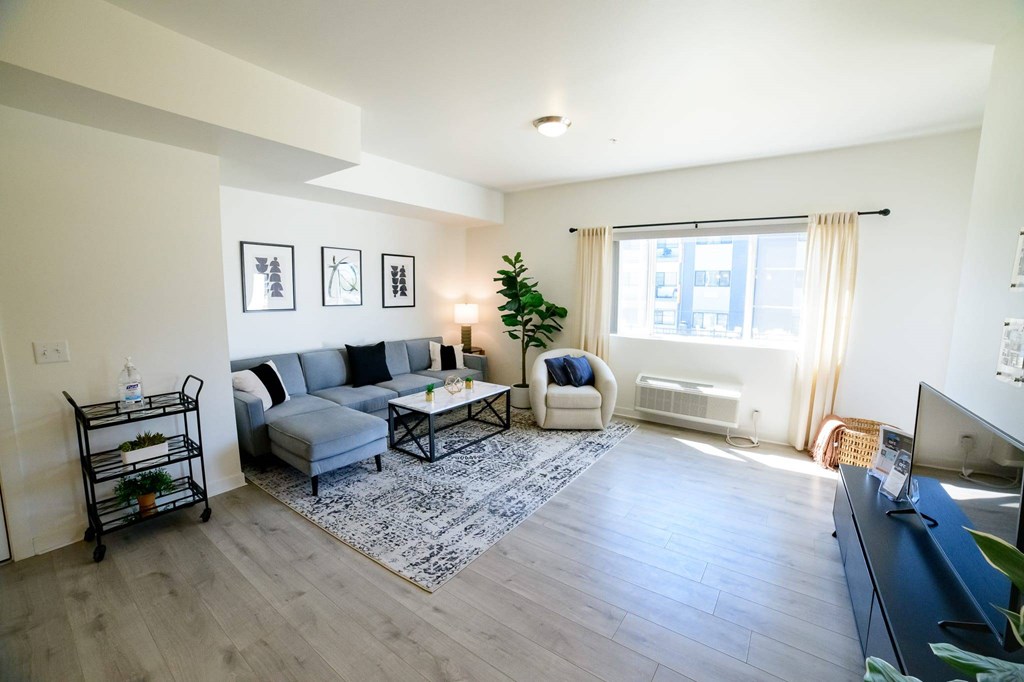 A living room with a grey couch, a coffee table, and a TV.