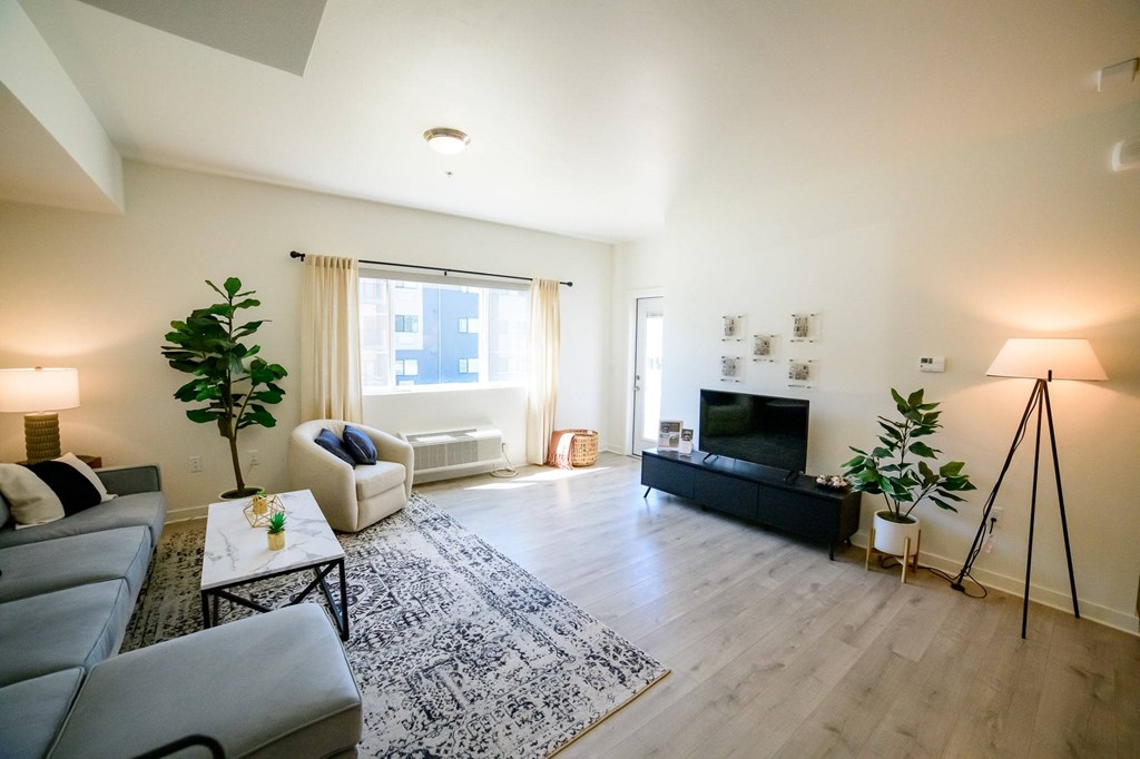 A living room with a grey sofa, a black couch, a white armchair, a coffee table, a rug, a TV, a fireplace, and a potted plant.