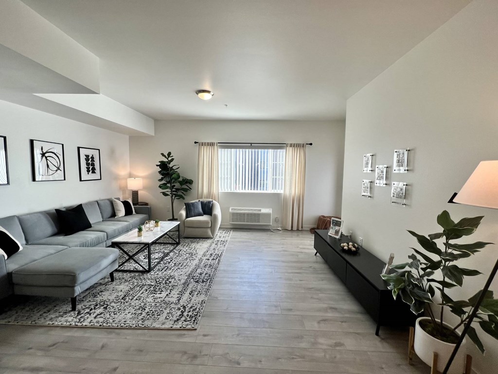 A living room with a grey sofa, a black coffee table, and a white armchair.