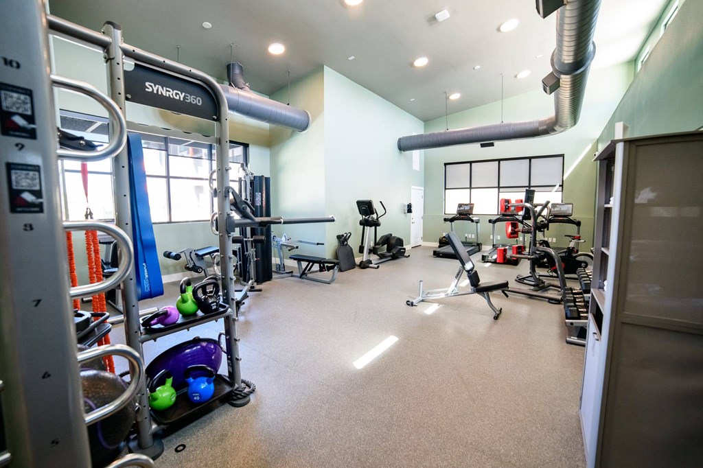 A gym with a variety of equipment including a squat rack, bench, and weights.