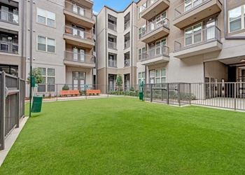 Grassy courtyard at Civic at Frisco Square Apartments, Frisco, TX, Texas, 75034