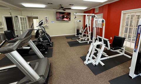 A gym with treadmills, weights, and exercise equipment.