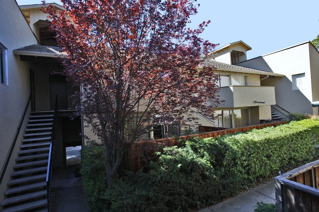 an apartment building with stairs and a tree in front