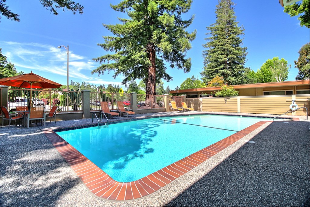 the swimming pool at the resort at paws up