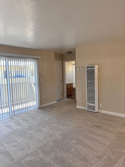 A room with a carpeted floor and a sliding glass door.