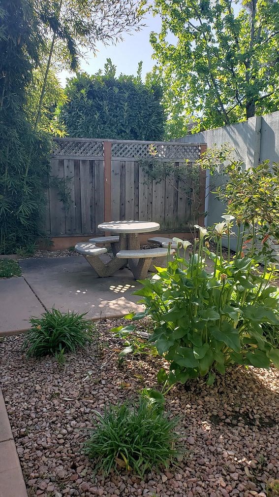 A backyard with a picnic table surrounded by plants.