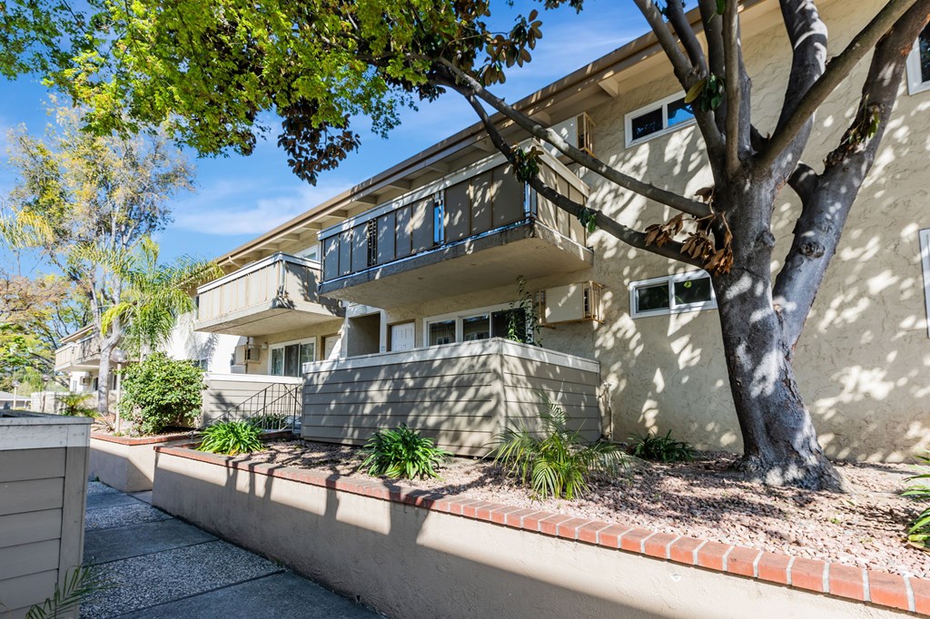 A tree in front of a building with a balcony.
