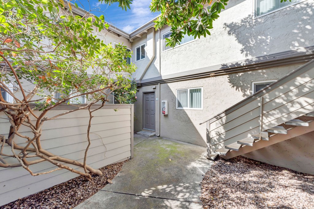 A tree with green leaves is in front of a grey building.