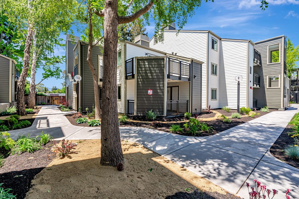A tree stands in the middle of a courtyard with apartment buildings in the background.