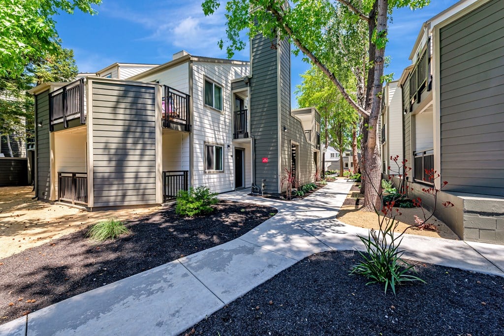 A tree in front of a building with a small garden in front of it.