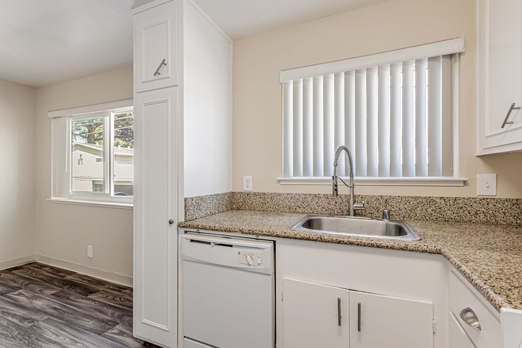 A kitchen with a sink, dishwasher, and cabinets.