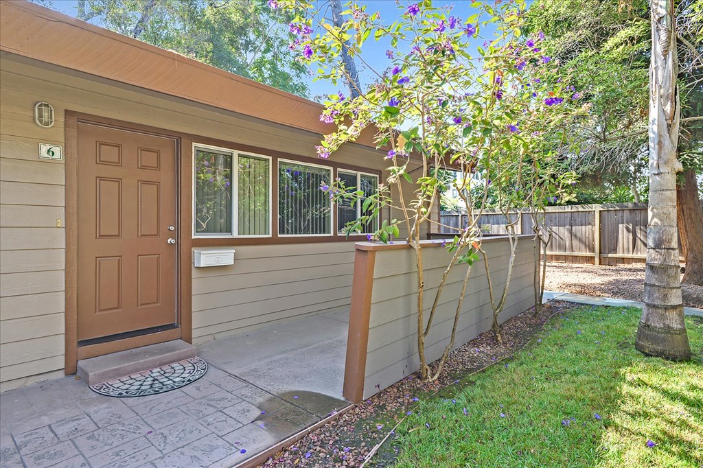 a front door of a home with a yard and a tree