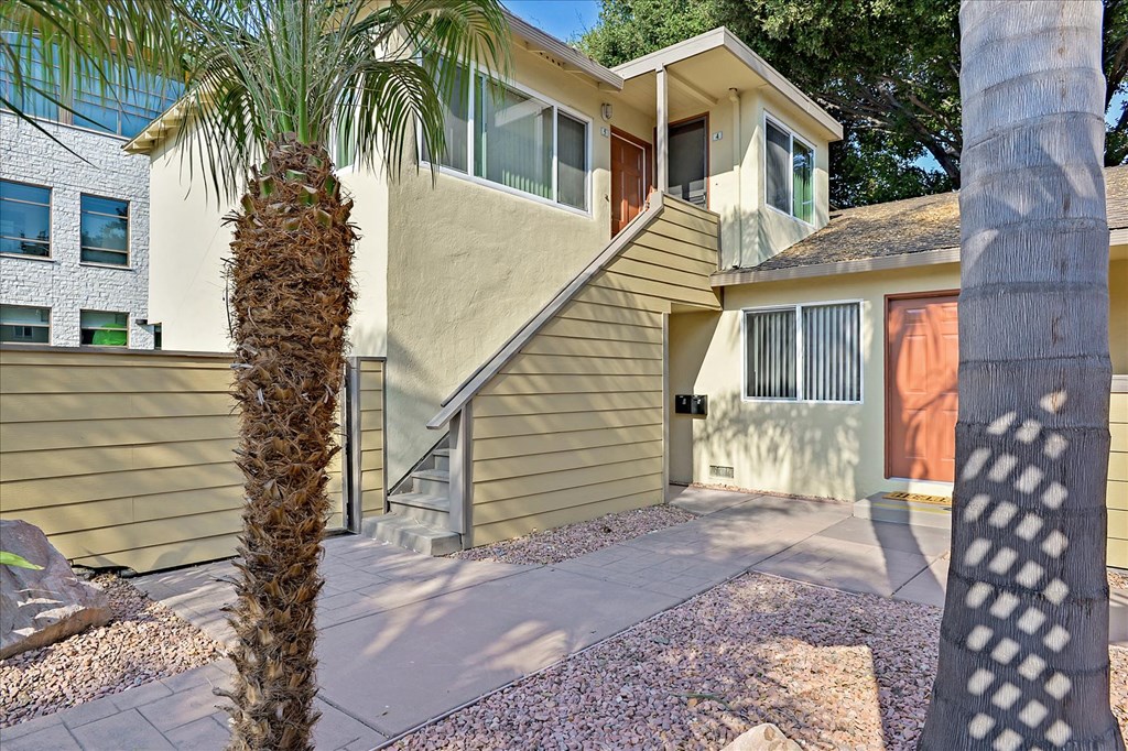 a palm tree in front of a house with stairs