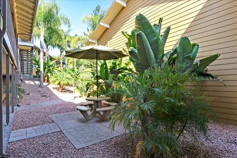 A patio with a table and umbrella surrounded by green plants.
