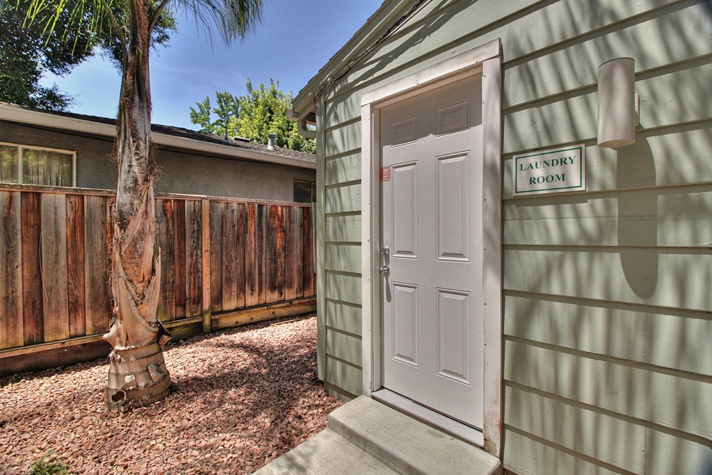 a small backyard shed with a white door and a palm tree