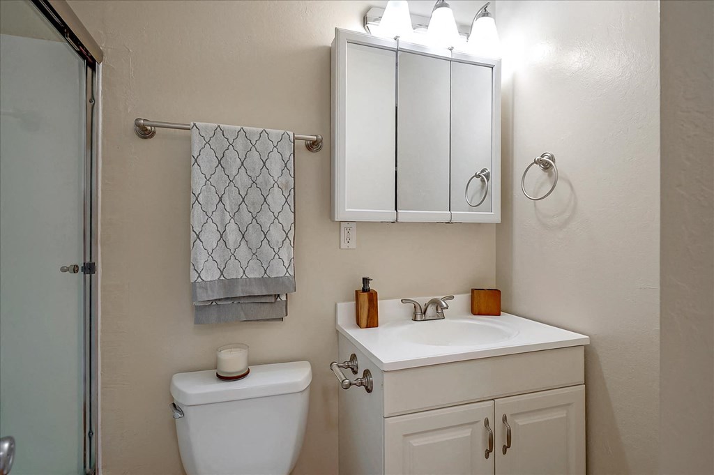 a bathroom with a sink and a toilet and a mirror