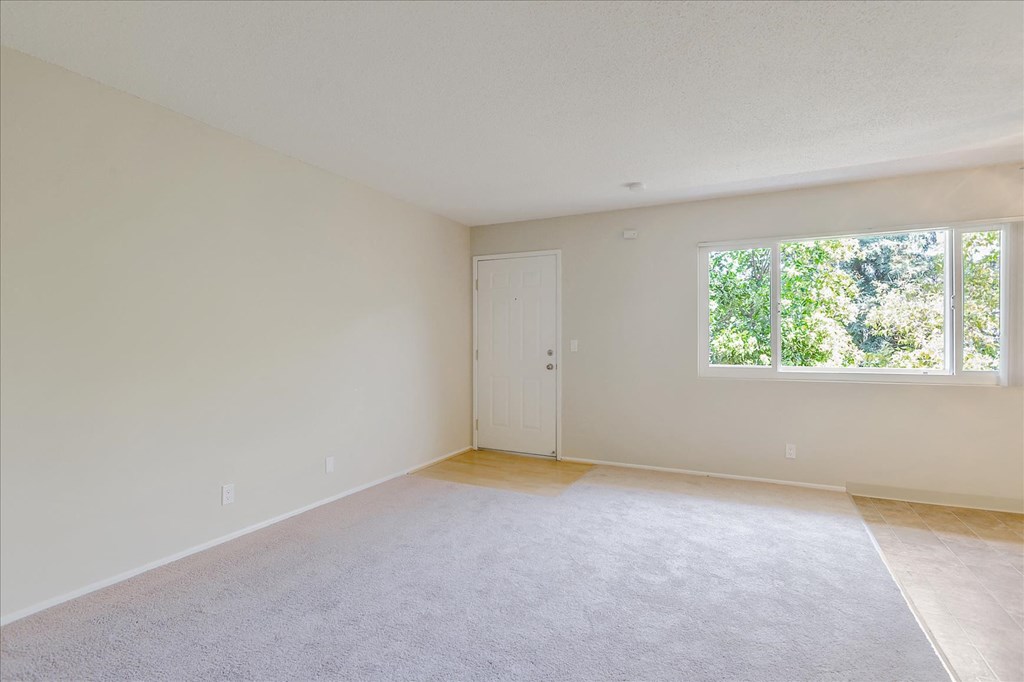 an empty living room with a large window and carpet