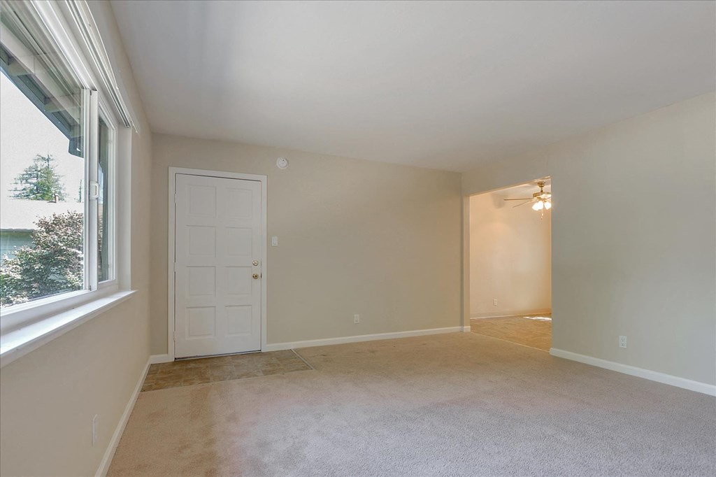 A room with a white door and a window with a view of trees.