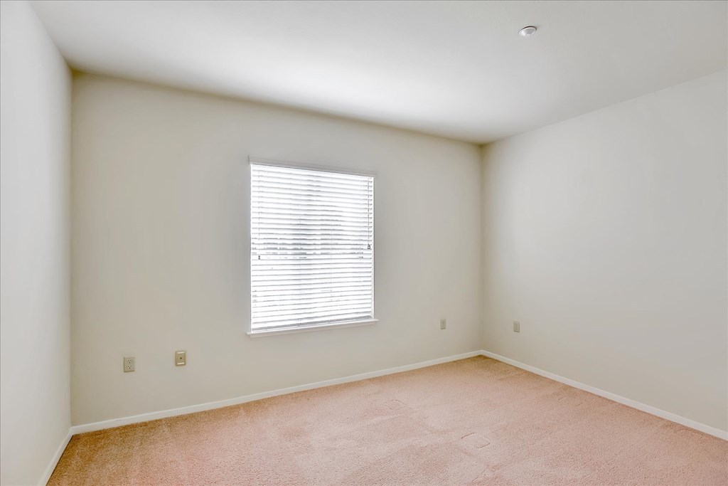 A room with a window and carpeted floor.